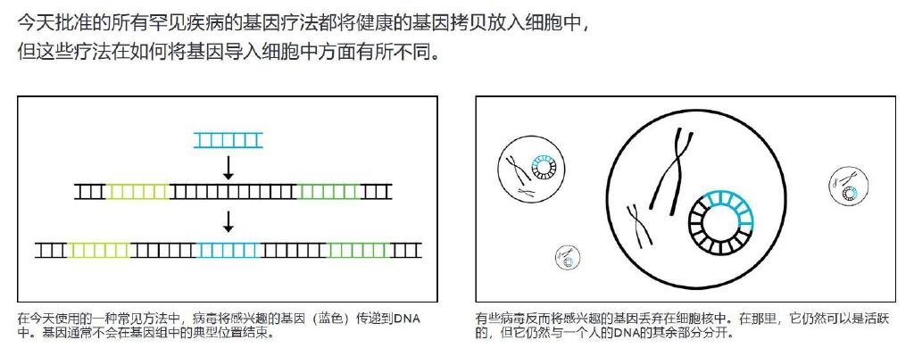 当今大多数基因疗法依赖于病毒